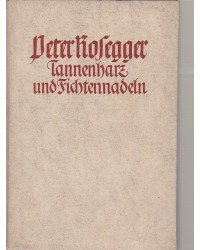 Tannenharz und Fichtennadeln