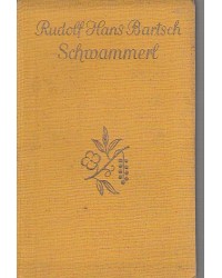 Franz Schubert - Schwammerl - Ein Schubert Roman
