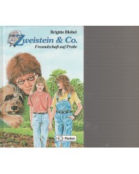 Zweistein & Co - Freundschaft auf Probe