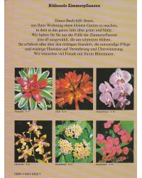 Blühende Zimmerpflanzen - Alles über Auswahl, Standort, Pflege und Vermehrung