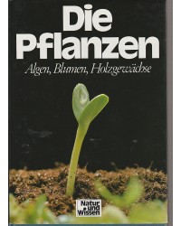 Natur und Wissen - Band 7 - Die Pflanzen - Algen, Blumen, Holzgewächse