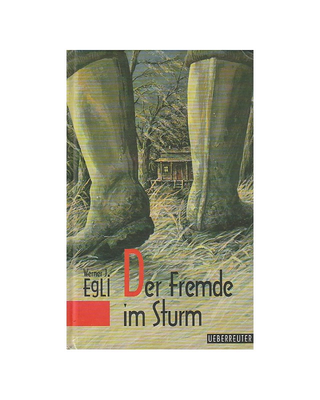 Der Fremde im Sturm