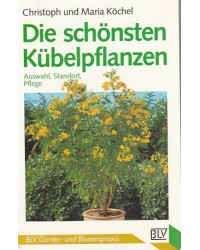 BLV Garten- und Blumenpraxis - Die schönsten Kübelpflanzen - Tb Nr. 332