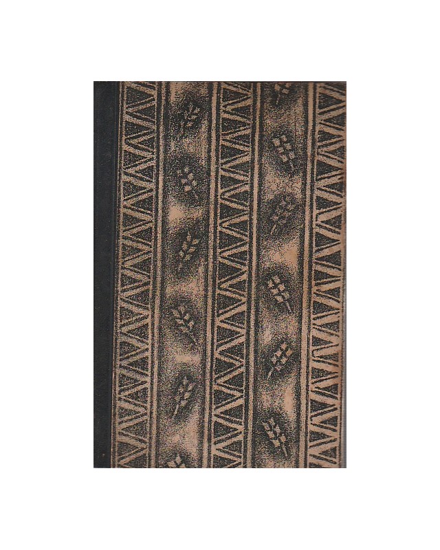 Soll und Haben  1. und 2. Band