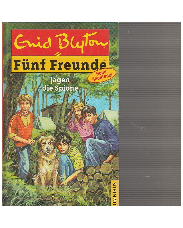 Fünf Freunde - Neue Abenteuer - Fünf Freunde jagen die Spione - Band 29