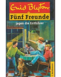 Fünf Freunde jagen die Entführer - Band 13