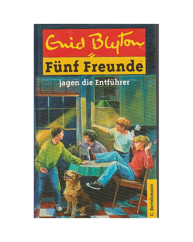 Fünf Freunde jagen die Entführer - Band 13