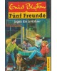Fünf Freunde jagen die Entführer - Band 13