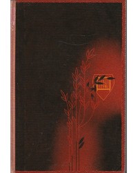 Singen und Sagen - Roman des Minnesangs