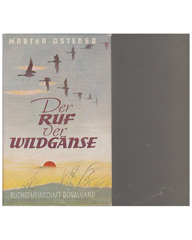 Der Ruf der Wildgänse