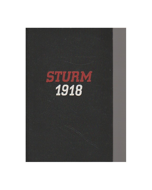 Sturm 1918
