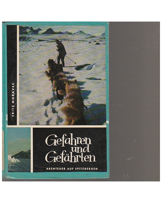 Gefahren und Gefährten