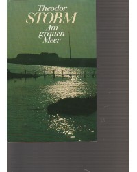 Storm - Am grauen Meer - Gesammelte Werke mit Gemälden ...