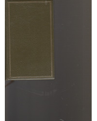 Fontane - Effi Briest, Frau Jenny Treibel