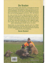 Darum Bracken! - Der Hund für Bewegungsjagd und Nachsuche