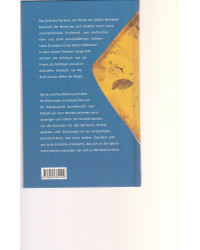 Das Bernstein-Buch  -  Tränen der Götter  -  Kunst, Schmuck, Medizin und Magie