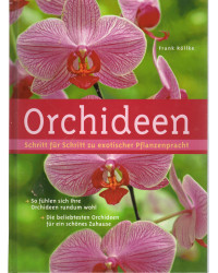 Orchideen - Schritt für...