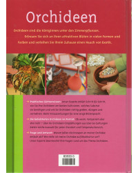 Orchideen - Schritt für Schritt zu exotischer Pflanzenpracht