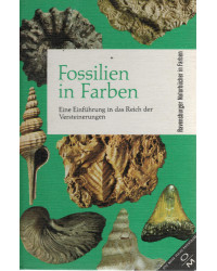 Fossilien in Farben