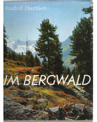 Im Bergwald