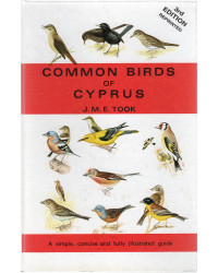 Common Birds of Cyprus