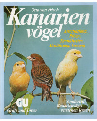 Kanarienvögel