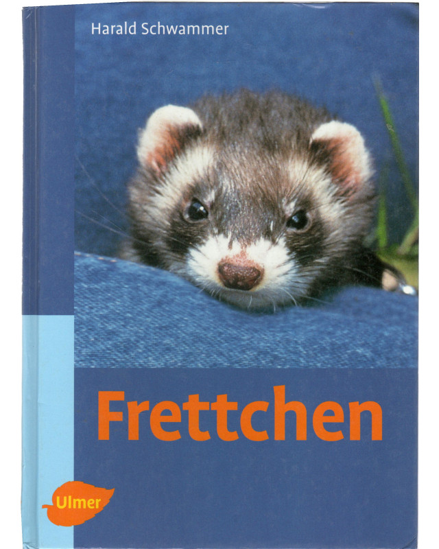 Frettchen