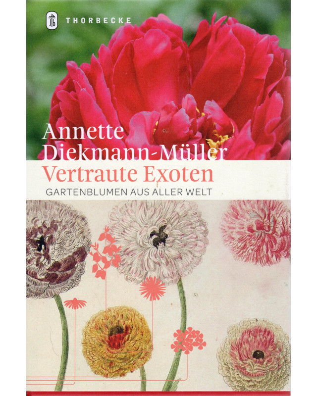 Vertraute Exoten - Gartenblumen aus aller Welt