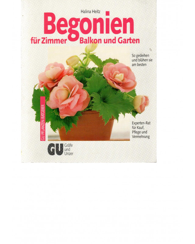 Begonien für Zimmer  Balkon und Garten