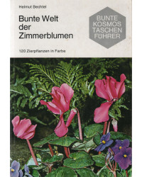 Bunte Welt der Zimmerblumen