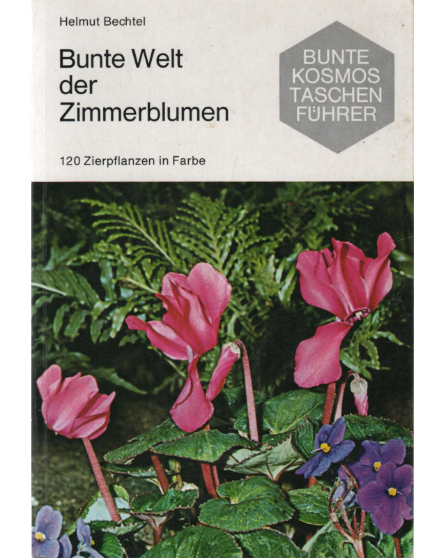 Bunte Welt der Zimmerblumen
