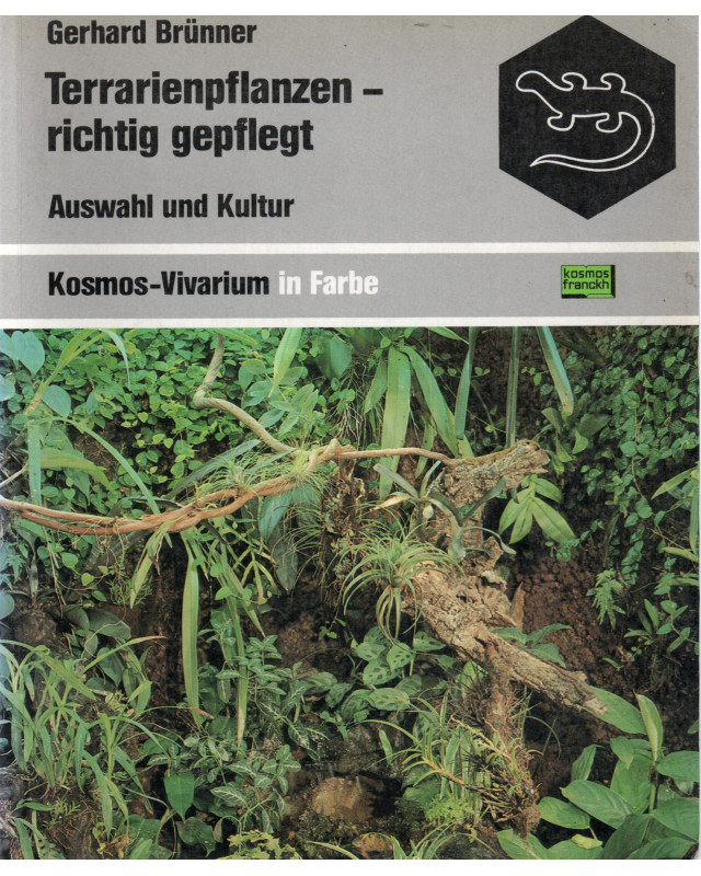 Terrarienpflanzen-richtig gepflegt