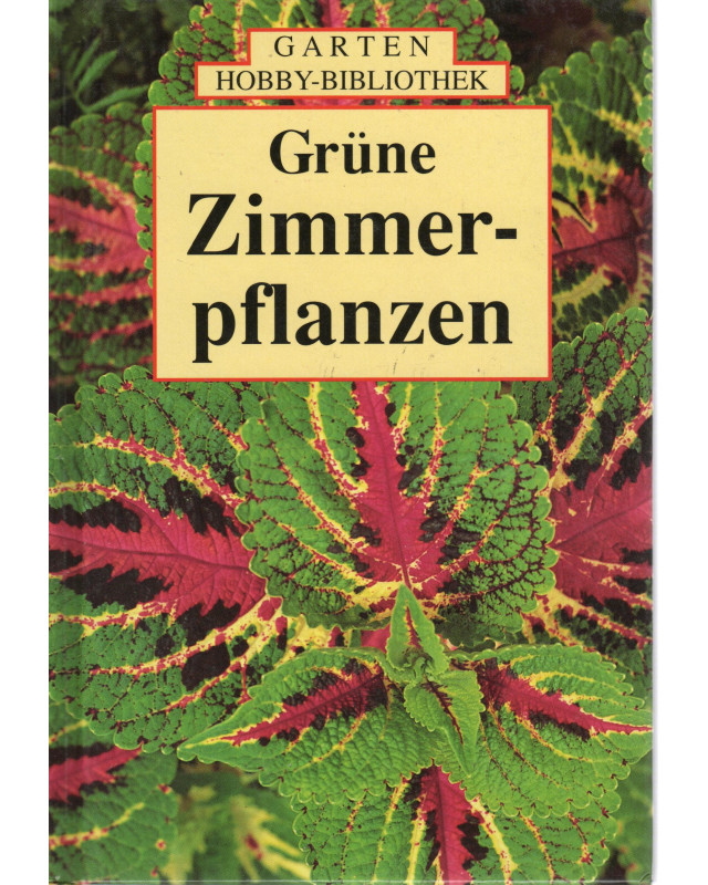 Grüne Zimmerpflanzen
