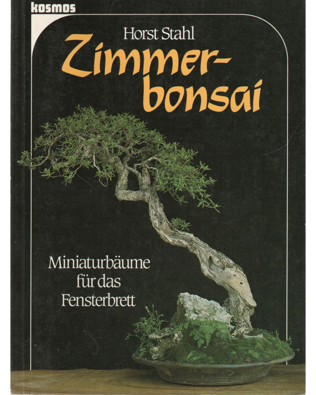 Zimmerbonsai