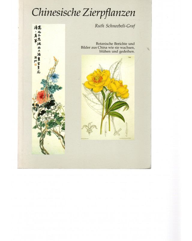 Chinesische Zierpflanzen