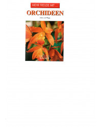 Orchideen
