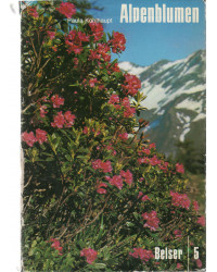 Alpenblumen