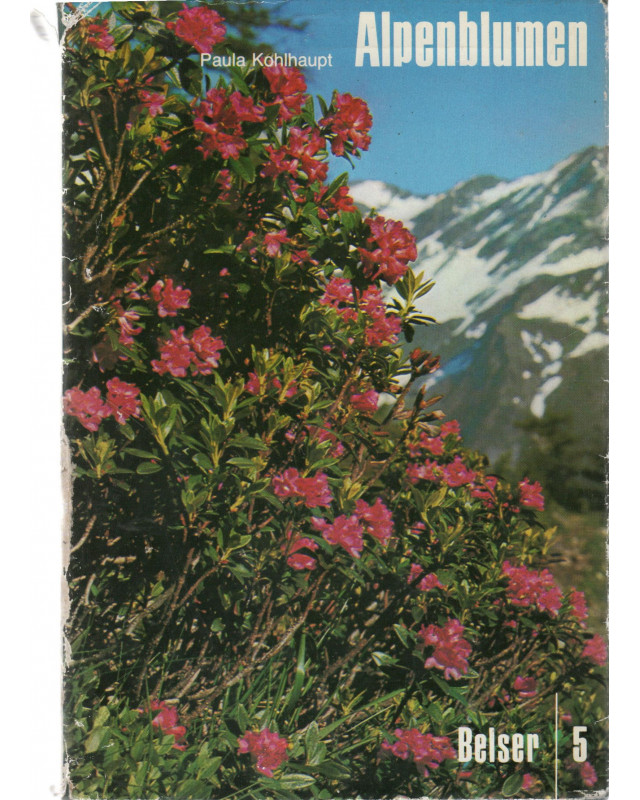 Alpenblumen