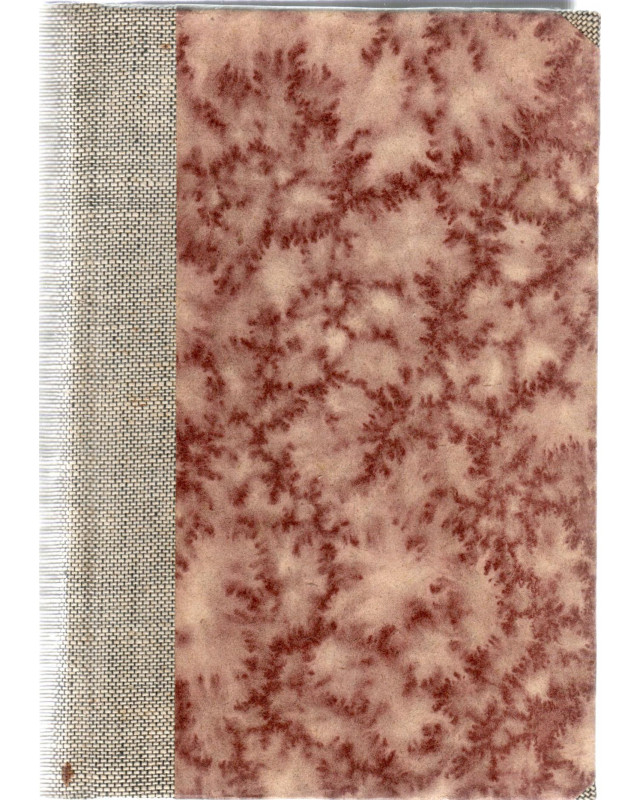 Die Sünden der Väter 1. Band