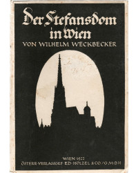 Der Stefansdom in Wien