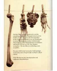 Lasst Knochen sprechen