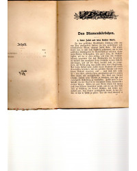 Das Blumenkörbchen. Die zwei Brüder - Zwei Erzählungen für die Jugend