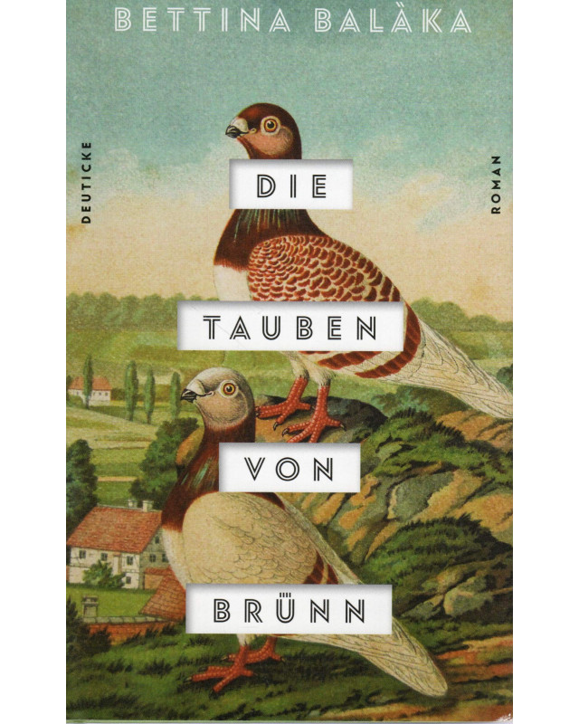 Die Tauben von Brünn