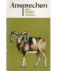 Ansprechen des Muffelwildes