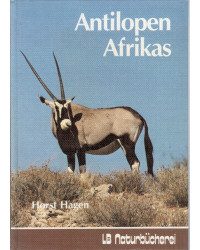 Antilopen Afrikas