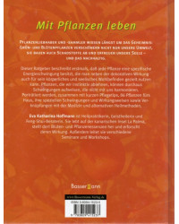 Energiepflanzen im Haus - Welche uns gut tun, welche nicht zu uns passen