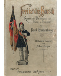 Frei ist der Bursch - Roman aus Deutschlands Sturm- und Drangzeit