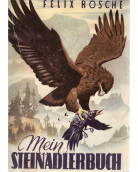 Mein Steinadlerbuch