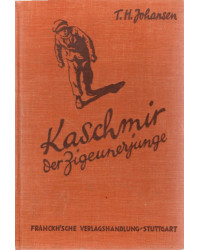 Kaschmir, der Zigeunerjunge