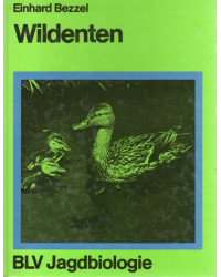 Wildenten